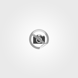 Final